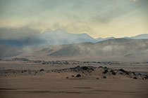 rocks & bushes in arid plain under mist at sunrise