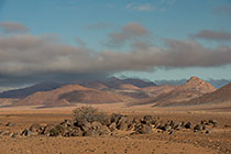 rocks & bushes in arid plain under mist at sunrise