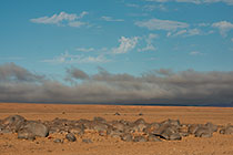 rocks in arid plain under mist at sunrise
