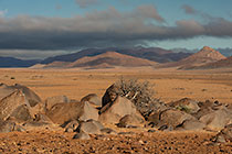 rocks & tree in arid plain under mist at sunrise