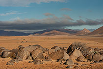 rocks & tree in arid plain under mist at sunrise