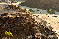 sandy track in riverbed