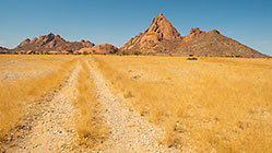 track though golden dry grass & monolith mountain