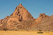 golden dry grass & monolith mountain