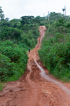 muddy track