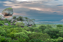 green trees & rock at sunrise