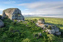 green trees & rocks at sunrise