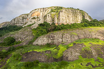 green trees & rock at sunrise& rocks at sunrise