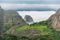 trees & rocks in mist
