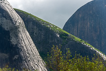rounded monolith rocks