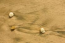 stone & water lines in sand