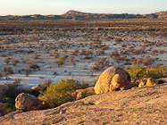 granite boulders & plain