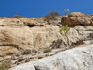rock formation on the bank of riverbed