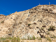 white trees on rocky hill