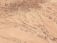 dry mud cracking in riverbed