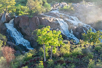 baobabs near waterfalls with mist at sunrise