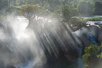 baobabs near waterfalls with mist at sunrise