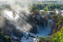 baobabs near waterfalls with mist at sunrise