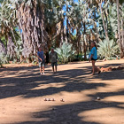 Jojo, Paul & Simon playing petanque at campsite