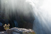 grass growing on rock near waterfall