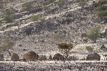 Himba huts in white grass on rocky hills at sunset