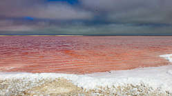saft bassin with red algae