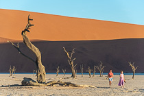 people walking amongst dead trees & sand dune in vlei