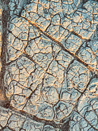 cracked sand pattern at sunset