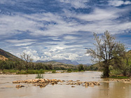 Kunene river under cloudy sky