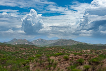 green trees in savahna & mountains under big clouds