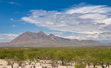 green trees in savahna & mountains under big clouds