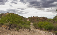 track through dry & rasor-sharp rocky savahna