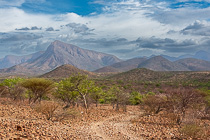 green trees in savahna & mountains under big clouds