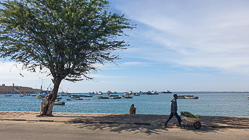 man pushing wheelbarrow & fishing boats in bay