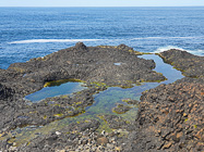 natural sea pools