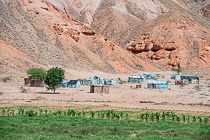 shacks made of blue iron sheets near agriculture field