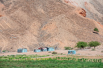shacks made of blue iron sheets near agriculture field