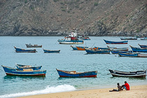 fishing boats in bay