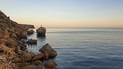 calm seashore at dawn