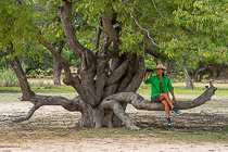 Roberta sitting on tortuous tree branch