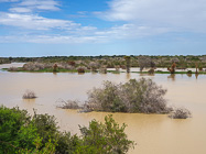 Kunene river
