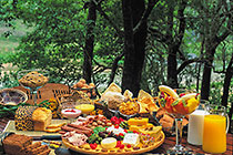 lodge, breakfast buffet on terrace