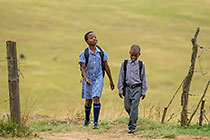 Zulu village : children coming back from school