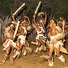 Zulu dancing : dancers