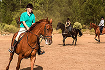 activities | horse riding