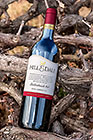 wine bottle on dry vines