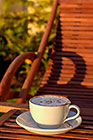 capuccino in the garden