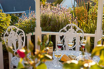 cheese & wine in the garden