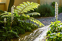 house & garden