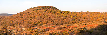 Malora hill